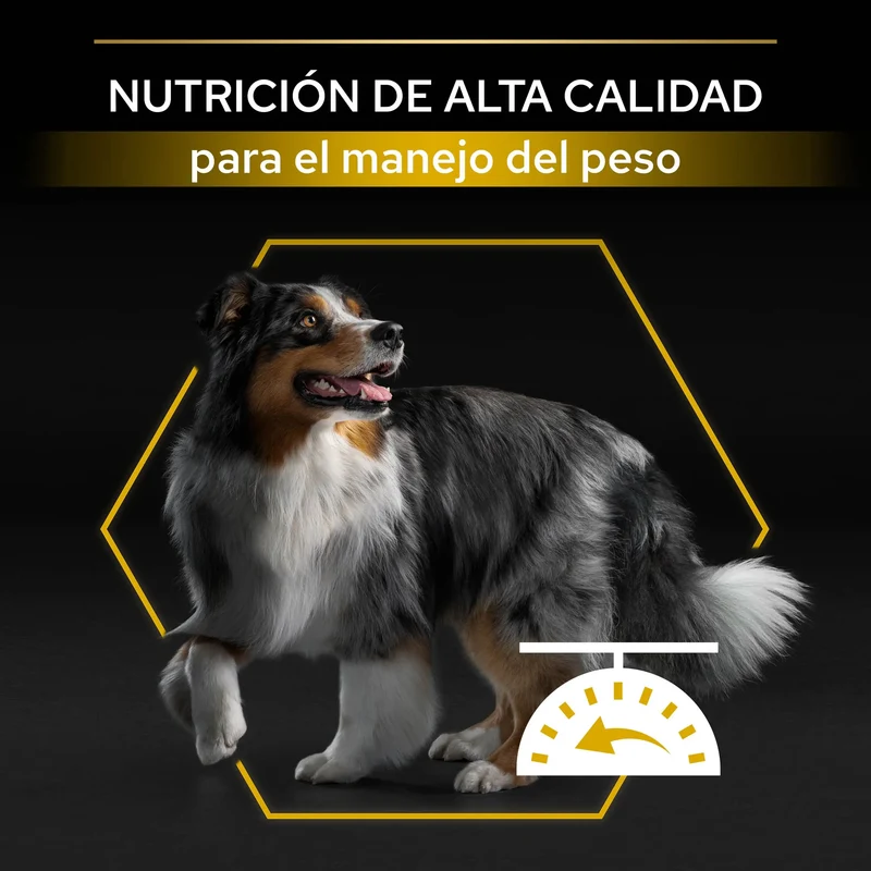 Pro Plan Dog Allsize Adult Light Sterilized Pollo Pienso para Perros