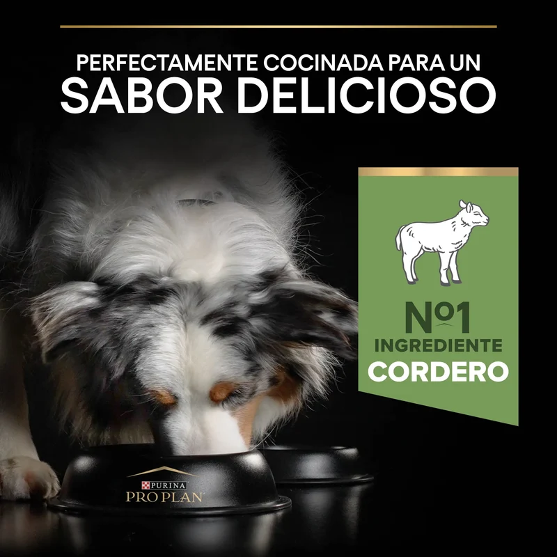 Pro Plan Dog Medium Adult Digest Cordero Pienso para Perros
