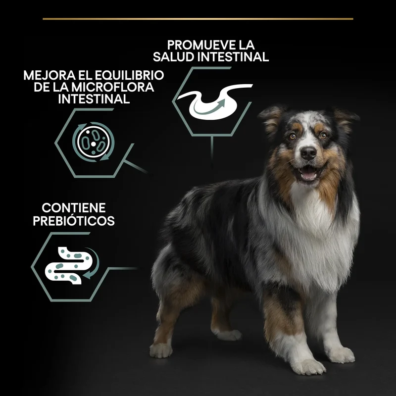 Pro Plan Dog Medium Adult Digest Cordero Pienso para Perros