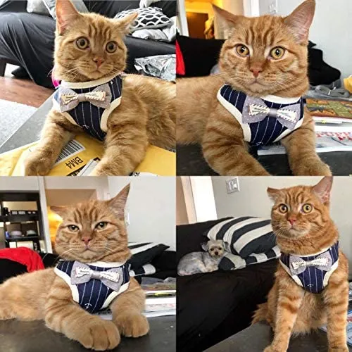 MyfatBOSS Correa para gato, arnés para gato y correa, chaleco de malla ajustable para gatos pequeños y grandes a prueba de escapes