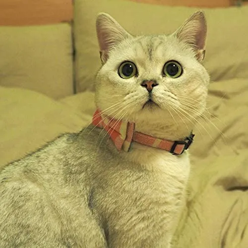 Collar de gato con capucha y pajarita, diseño a cuadros ajustable de seguridad Kitty Kitten Collares (6.8-10.8in)