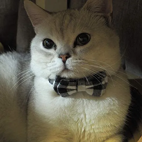 Collar de gato con capucha y pajarita, diseño a cuadros ajustable de seguridad Kitty Kitten Collares (6.8-10.8in)