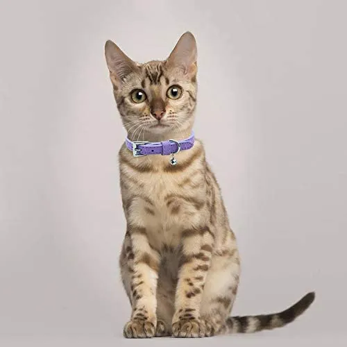 PUPTECK - 2 collares de piel suave para gato, color naranja, morado, negro, caqui, rosa, azul