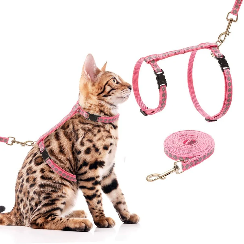 SCIROKKO - Arnés y correa para gato – a prueba de escape ajustable para caminar al aire libre con hebilla de seguridad