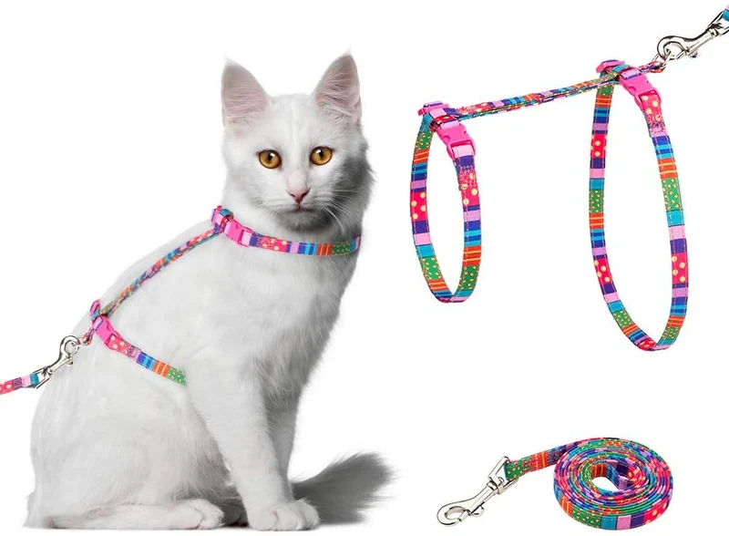 SCIROKKO - Arnés y correa para gato – a prueba de escape ajustable para caminar al aire libre con hebilla de seguridad