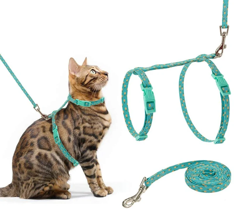 SCIROKKO - Arnés y correa para gato – a prueba de escape ajustable para caminar al aire libre con hebilla de seguridad