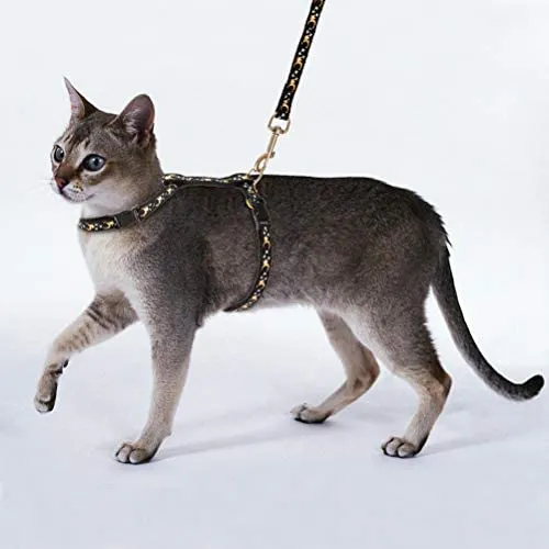 SCIROKKO - Arnés y correa para gato – a prueba de escape ajustable para caminar al aire libre con hebilla de seguridad