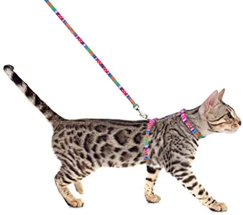 SCIROKKO - Arnés y correa para gato – a prueba de escape ajustable para caminar al aire libre con hebilla de seguridad
