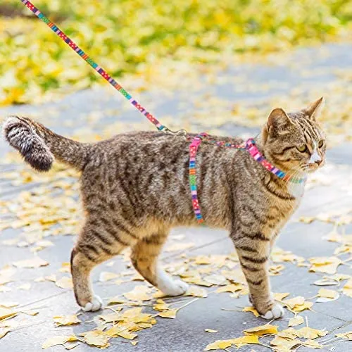 SCIROKKO - Arnés y correa para gato – a prueba de escape ajustable para caminar al aire libre con hebilla de seguridad