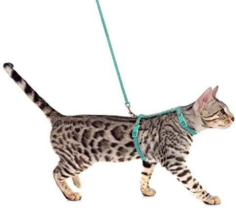 SCIROKKO - Arnés y correa para gato – a prueba de escape ajustable para caminar al aire libre con hebilla de seguridad