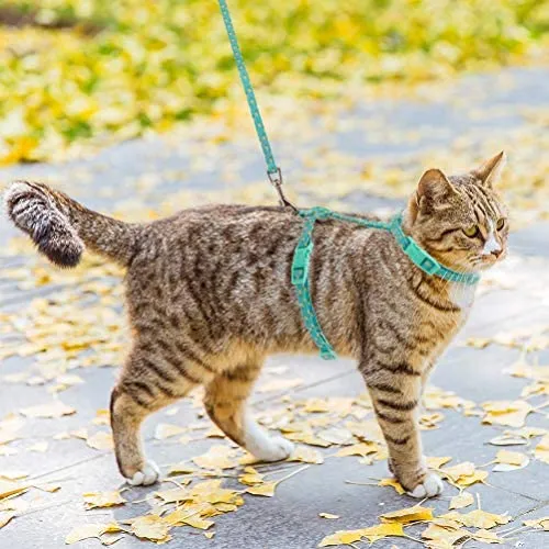 SCIROKKO - Arnés y correa para gato – a prueba de escape ajustable para caminar al aire libre con hebilla de seguridad