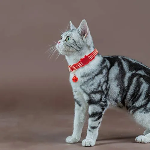 EXPAWLORER 6 Pcs Wave Point Adjustable Cat Collars Colorful Nylon Breakaway Safety Pet Collar with Bells