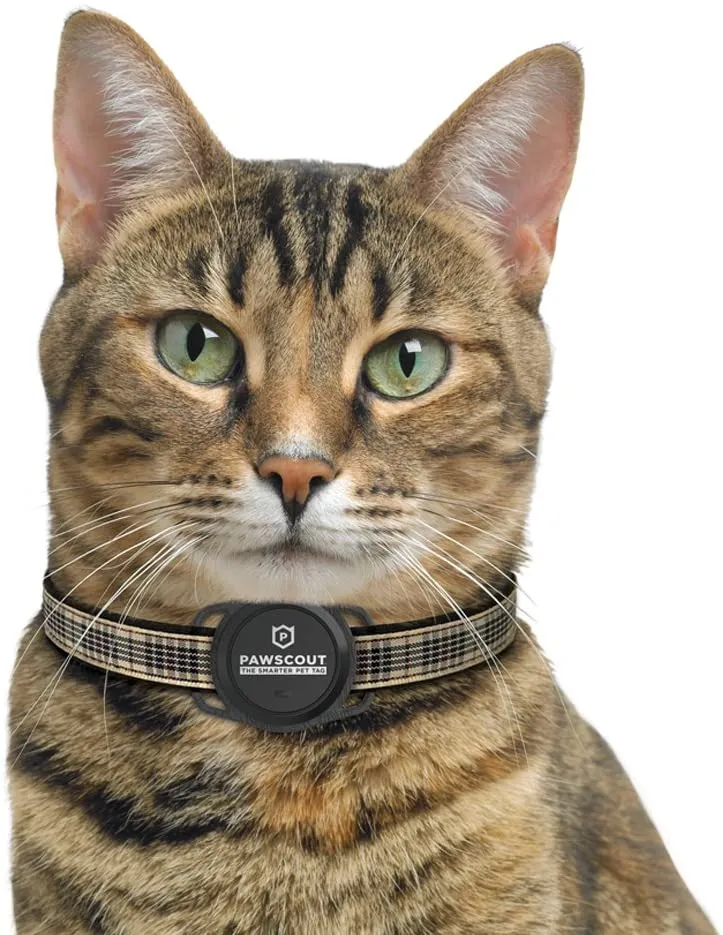 Pawscout - Registro inteligente para mascotas (Bluetooth, no GPS), perfil médico, correa virtual para mascotas al aire libre, rastreador de caminos, puntos de interés para mascotas, sin tasas mensuales