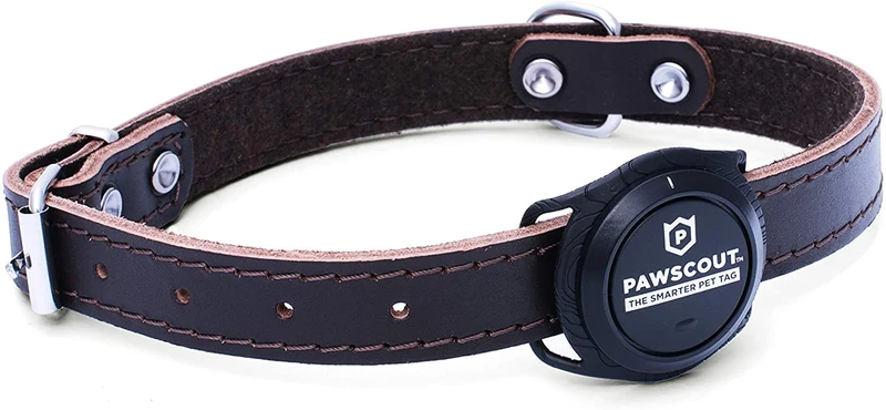 Pawscout - Registro inteligente para mascotas (Bluetooth, no GPS), perfil médico, correa virtual para mascotas al aire libre, rastreador de caminos, puntos de interés para mascotas, sin tasas mensuales