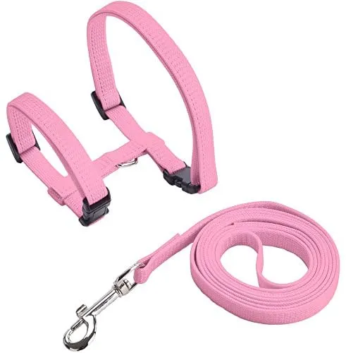 Arnés ajustable de nailon para gatos con correa negro PUPTECK.