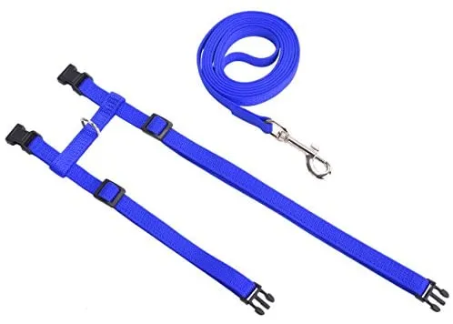 Arnés ajustable de nailon para gatos con correa negro PUPTECK.