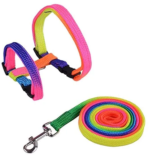 Arnés ajustable de nailon para gatos con correa negro PUPTECK.