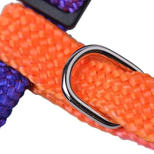 Arnés ajustable de nailon para gatos con correa negro PUPTECK.