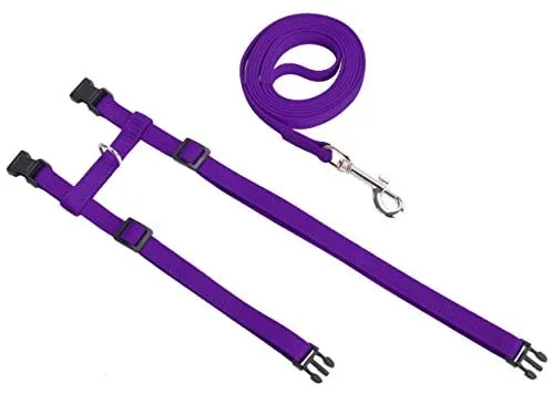 Arnés ajustable de nailon para gatos con correa negro PUPTECK.