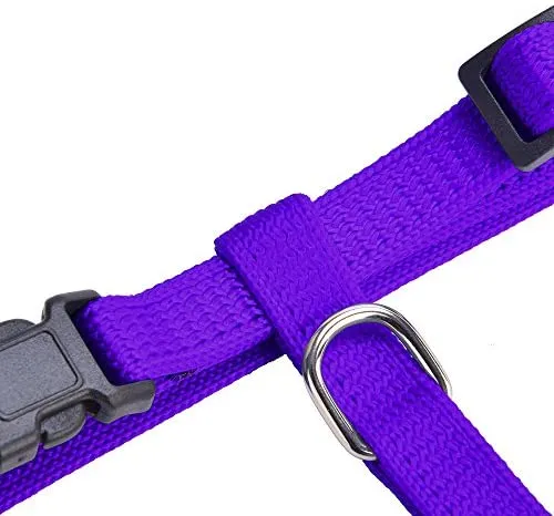 Arnés ajustable de nailon para gatos con correa negro PUPTECK.