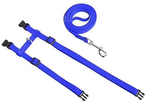 Arnés ajustable de nailon para gatos con correa negro PUPTECK.