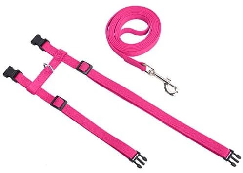 Arnés ajustable de nailon para gatos con correa negro PUPTECK.