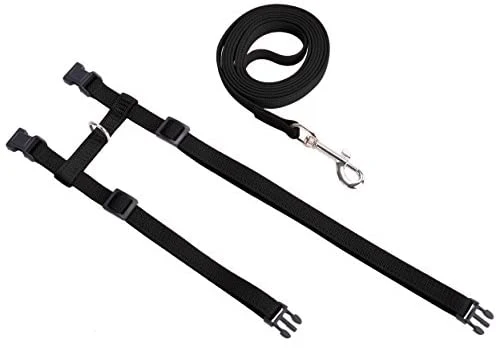 Arnés ajustable de nailon para gatos con correa negro PUPTECK.