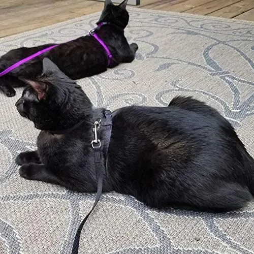 Arnés ajustable de nailon para gatos con correa negro PUPTECK.
