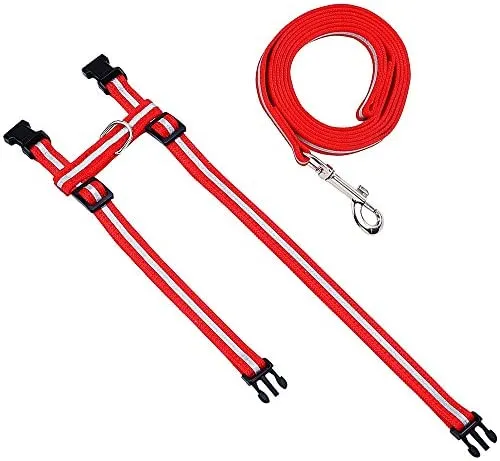 Arnés ajustable de nailon para gatos con correa negro PUPTECK.