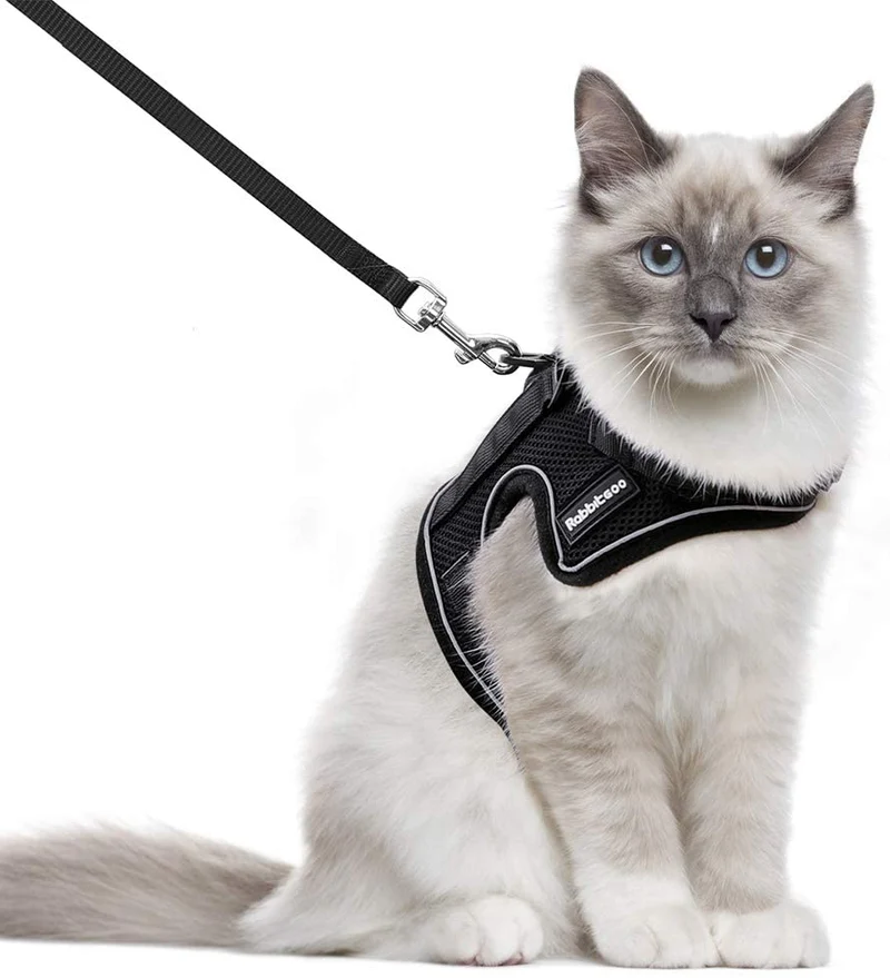 rabbitgoo Arnés y correa para gatos para caminar, a prueba de escape, sin asfixia, chaleco reflectante para gatos pequeños y medianos, arnés de gatito con cintas mágicas y clips dobles para seguridad al aire libre