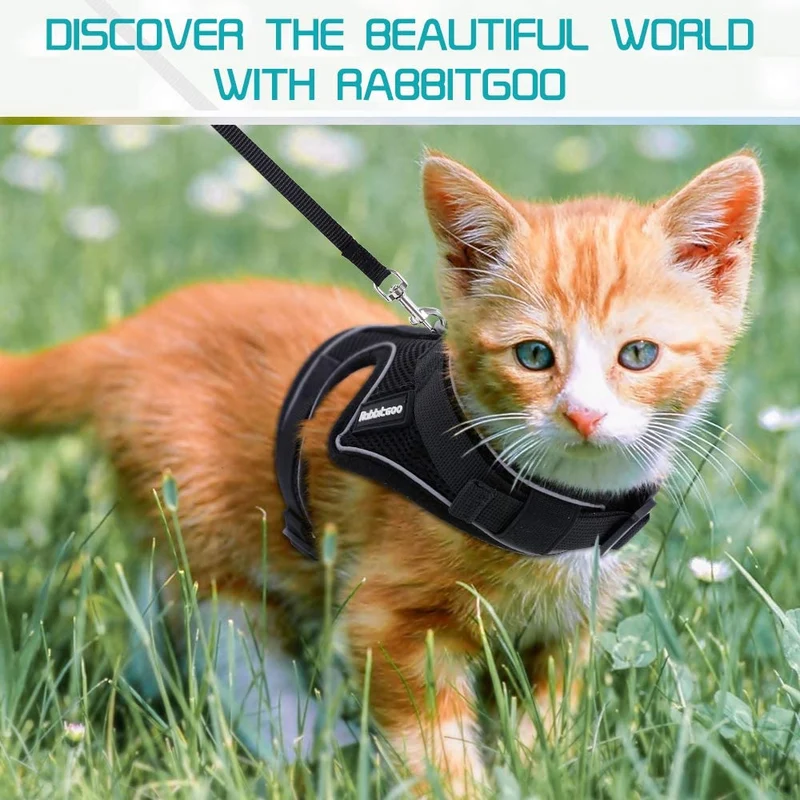 rabbitgoo Arnés y correa para gatos para caminar, a prueba de escape, sin asfixia, chaleco reflectante para gatos pequeños y medianos, arnés de gatito con cintas mágicas y clips dobles para seguridad al aire libre