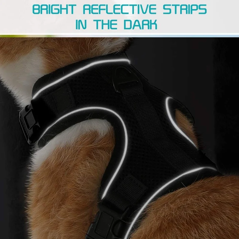 rabbitgoo Arnés y correa para gatos para caminar, a prueba de escape, sin asfixia, chaleco reflectante para gatos pequeños y medianos, arnés de gatito con cintas mágicas y clips dobles para seguridad al aire libre