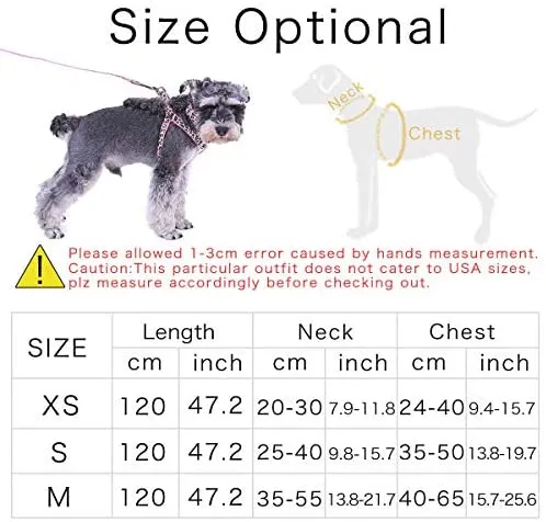 PAWZ Road Leopard - Juego de arnés para collar de mascota