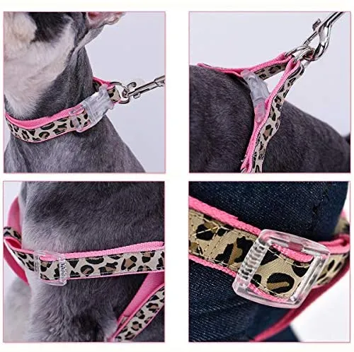 PAWZ Road Leopard - Juego de arnés para collar de mascota