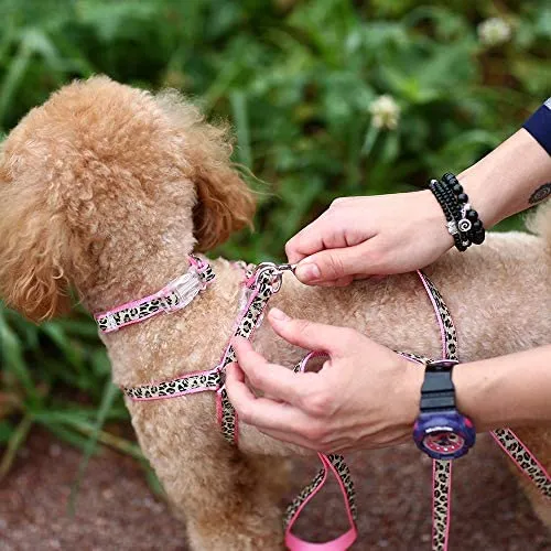 PAWZ Road Leopard - Juego de arnés para collar de mascota