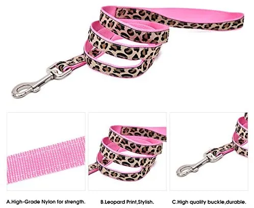 PAWZ Road Leopard - Juego de arnés para collar de mascota