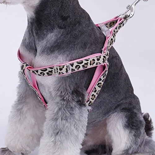PAWZ Road Leopard - Juego de arnés para collar de mascota