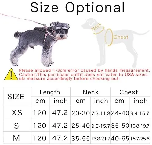 PAWZ Road Leopard - Juego de arnés para collar de mascota