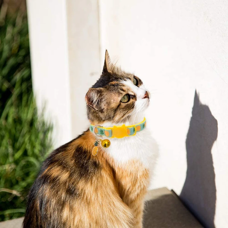 BINGPET - Collar para gato con campana, 2 collares de seguridad ajustables para gato, piña y cereza