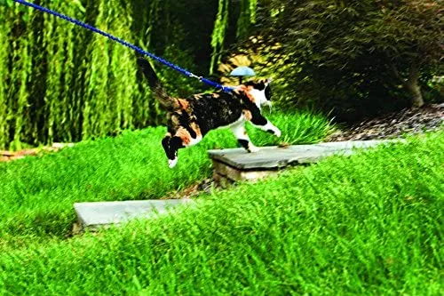 PetSafe Come with Me Kitty Harness and Bungee Leash, Harness for Cats