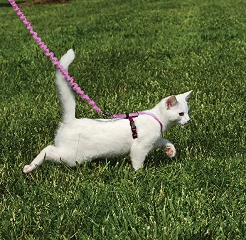 PetSafe Come with Me Kitty Harness and Bungee Leash, Harness for Cats