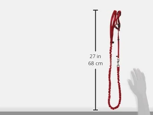 PetSafe Come with Me Kitty Harness and Bungee Leash, Harness for Cats