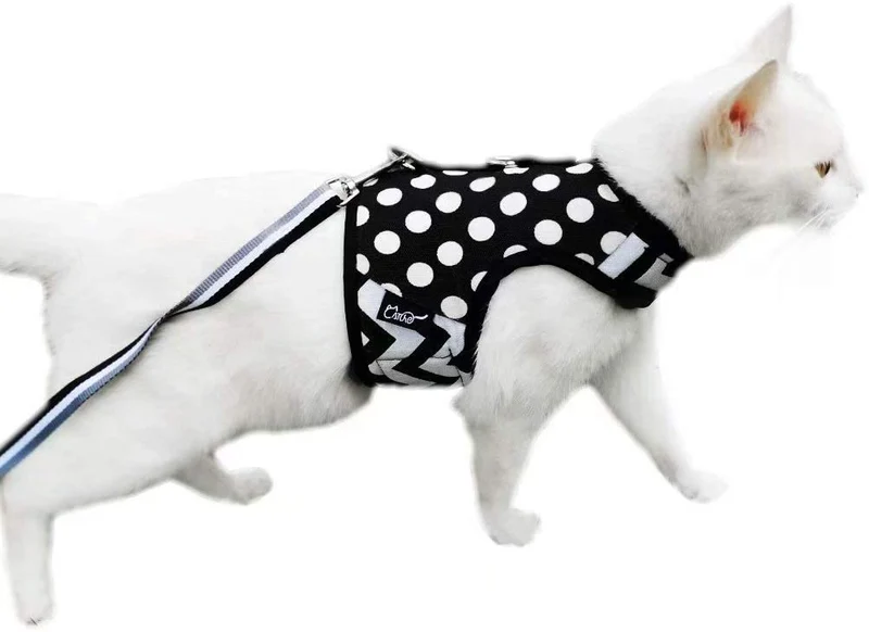 Arnés de gato con correa, ajustable para gatos, chaleco acolchado para gatos