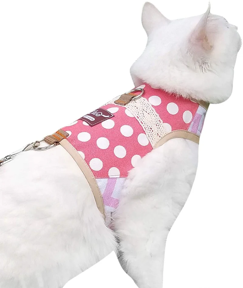 Arnés de gato con correa, ajustable para gatos, chaleco acolchado para gatos