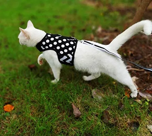 Arnés de gato con correa, ajustable para gatos, chaleco acolchado para gatos
