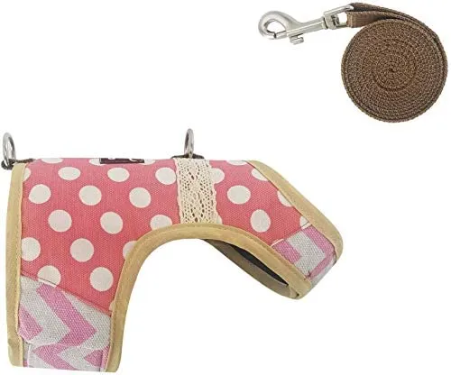 Arnés de gato con correa, ajustable para gatos, chaleco acolchado para gatos