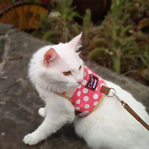 Arnés de gato con correa, ajustable para gatos, chaleco acolchado para gatos