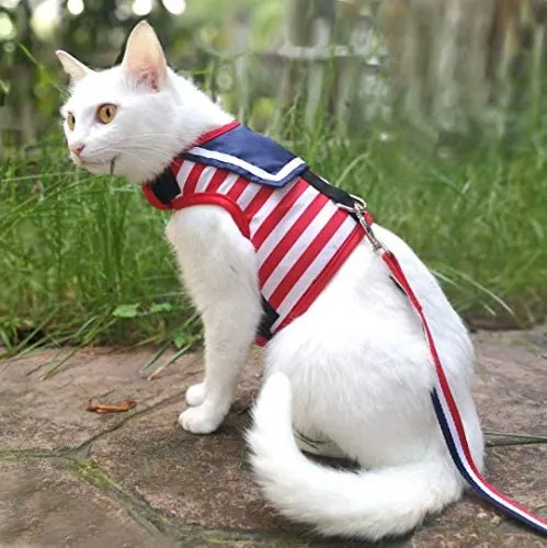 Arnés de gato con correa, ajustable para gatos, chaleco acolchado para gatos