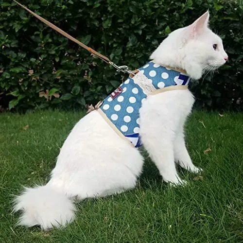 Arnés de gato con correa, ajustable para gatos, chaleco acolchado para gatos
