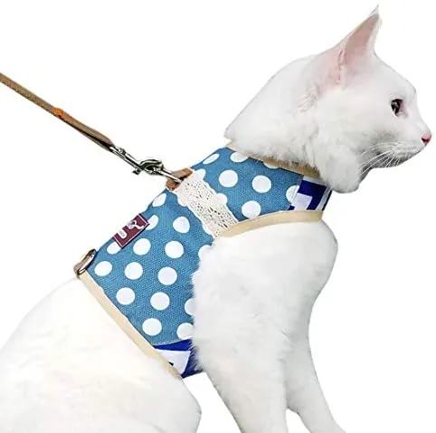 Arnés de gato con correa, ajustable para gatos, chaleco acolchado para gatos